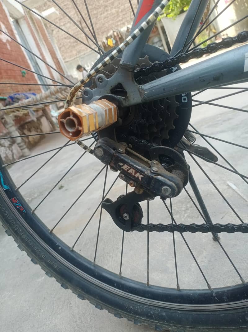 cycle 1