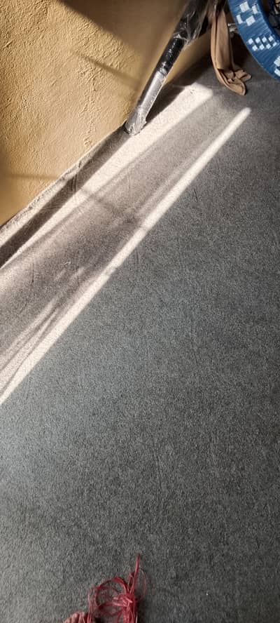 grey carpet for sale