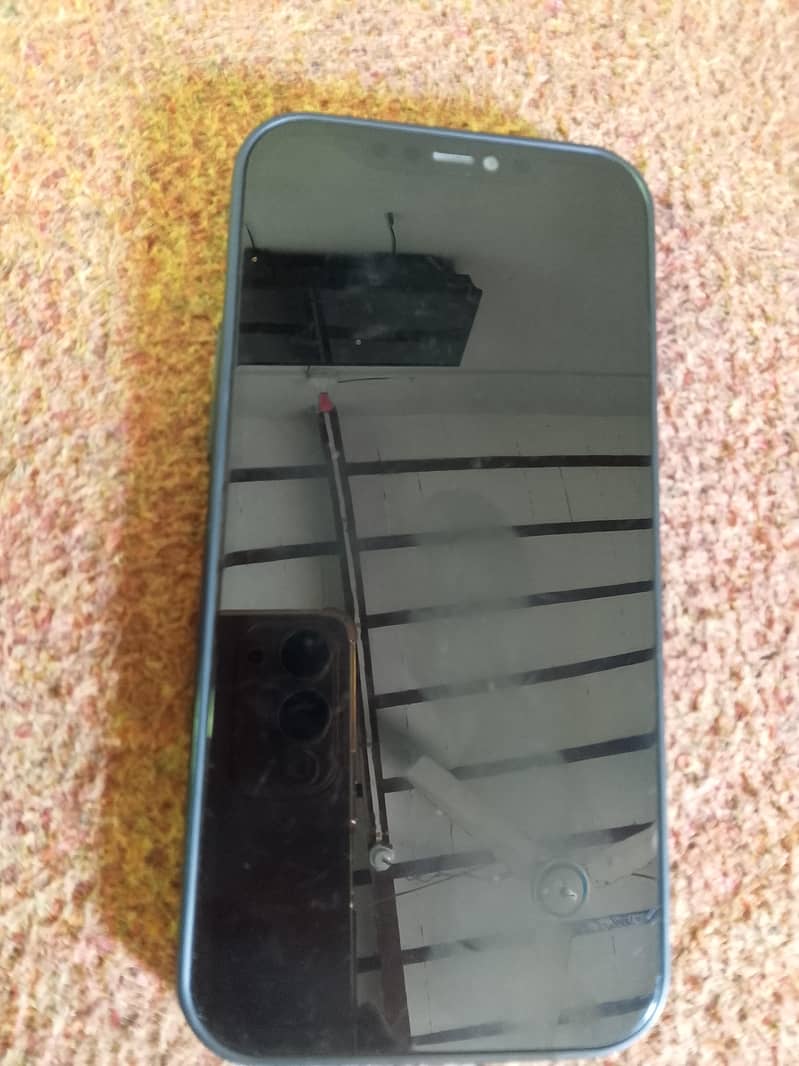 Apple iPhone 12 Pro Max 1