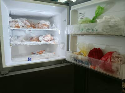 haier refrigerator 2019 model