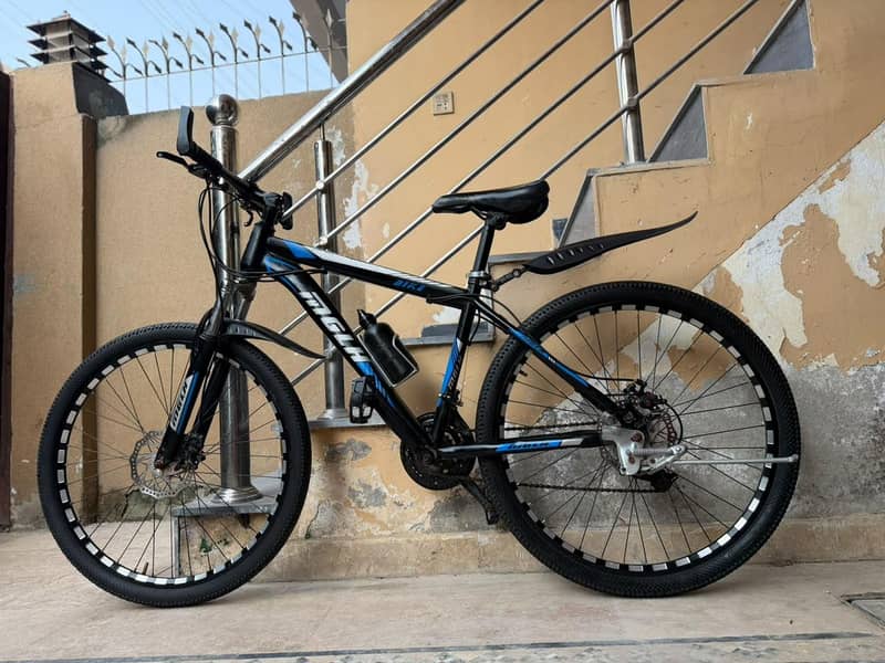 Mountain Bicycle 1