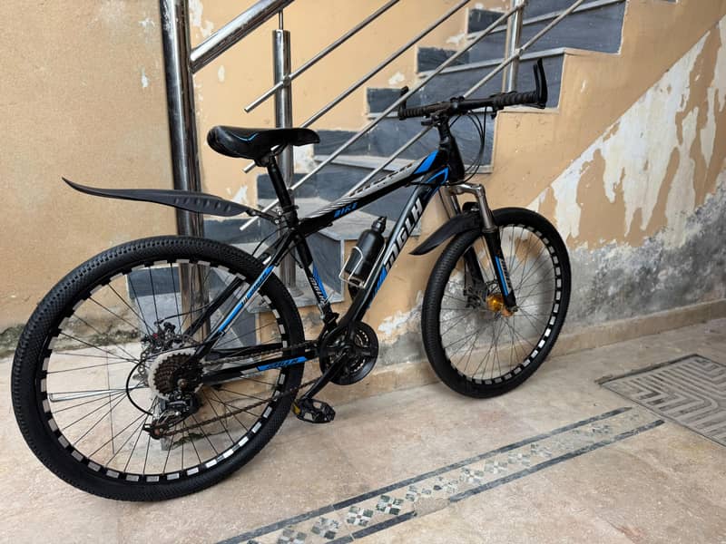 Mountain Bicycle 6