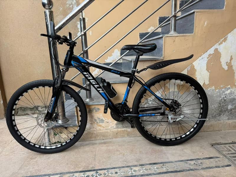 Mountain Bicycle 12