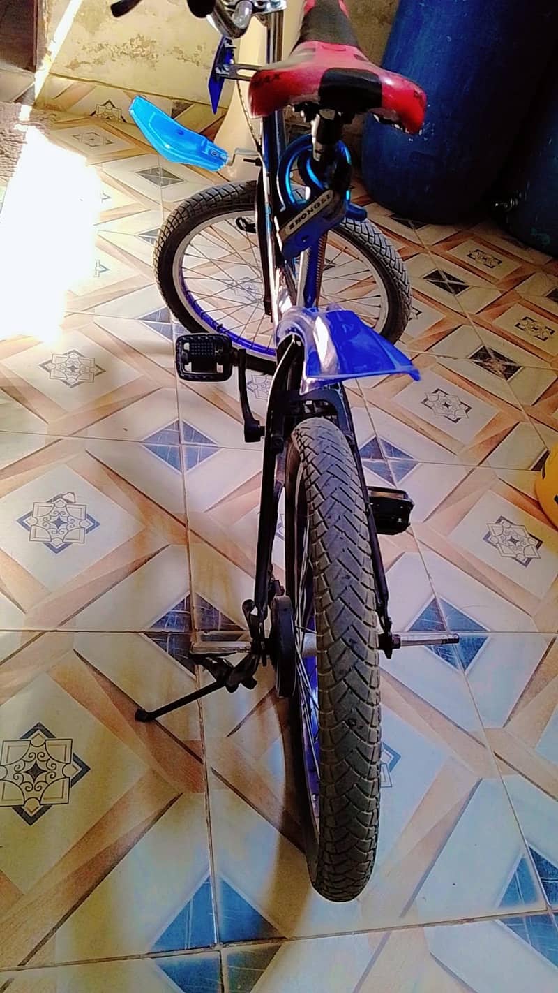 VIP cycle 1