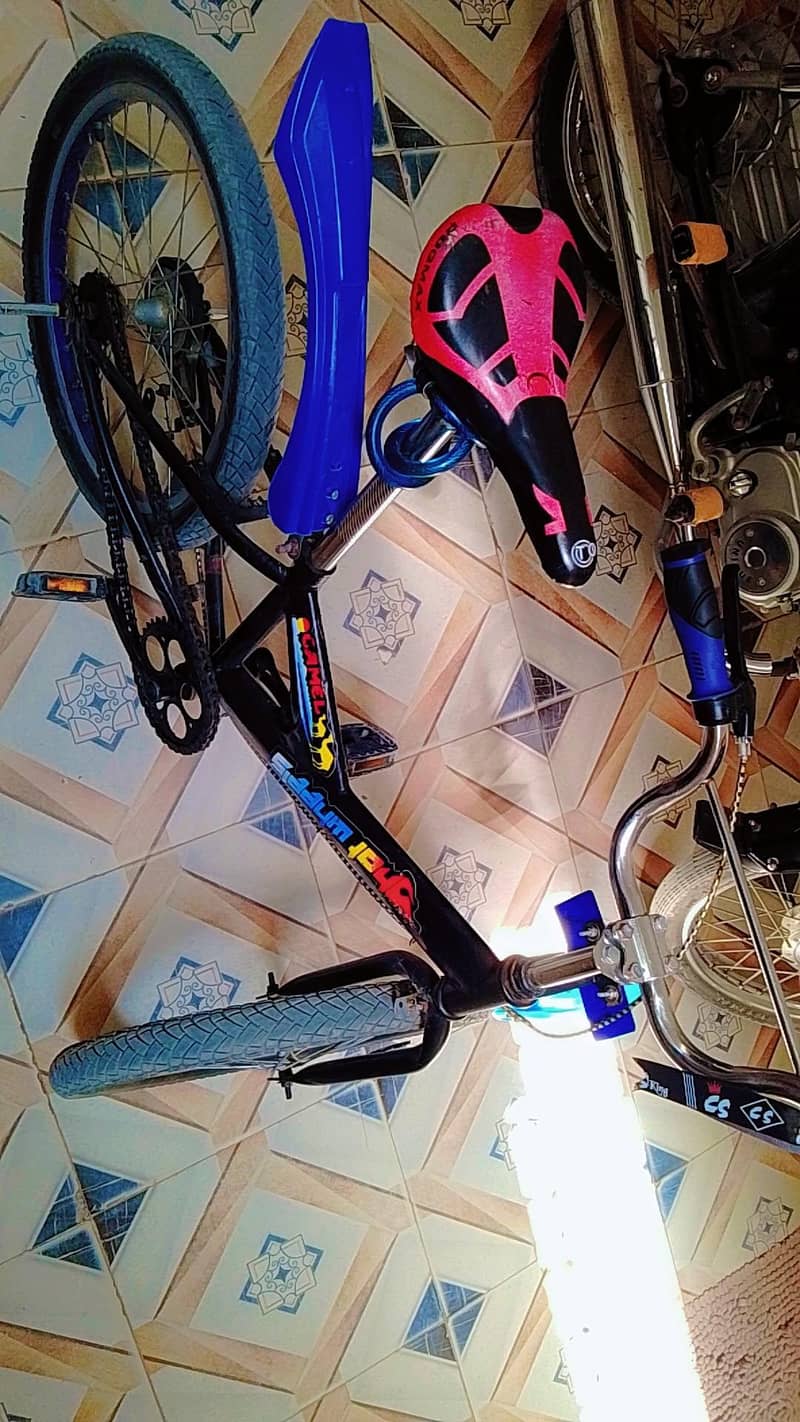 VIP cycle 2