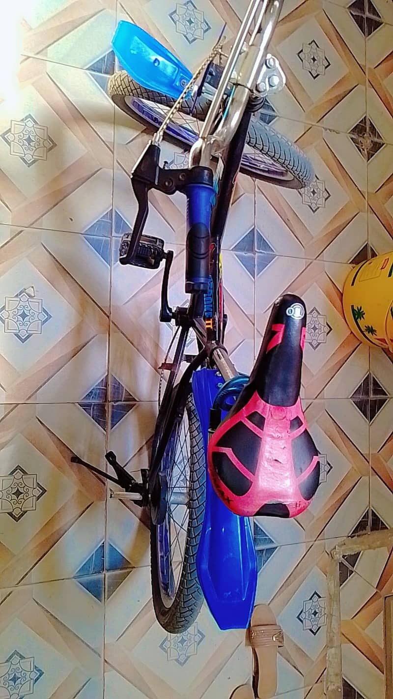 VIP cycle 3