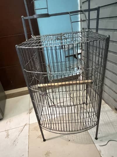Cage macaw parrot