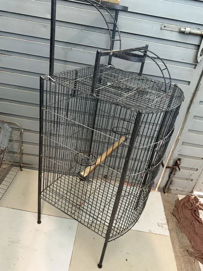 Cage macaw parrot — photo 3