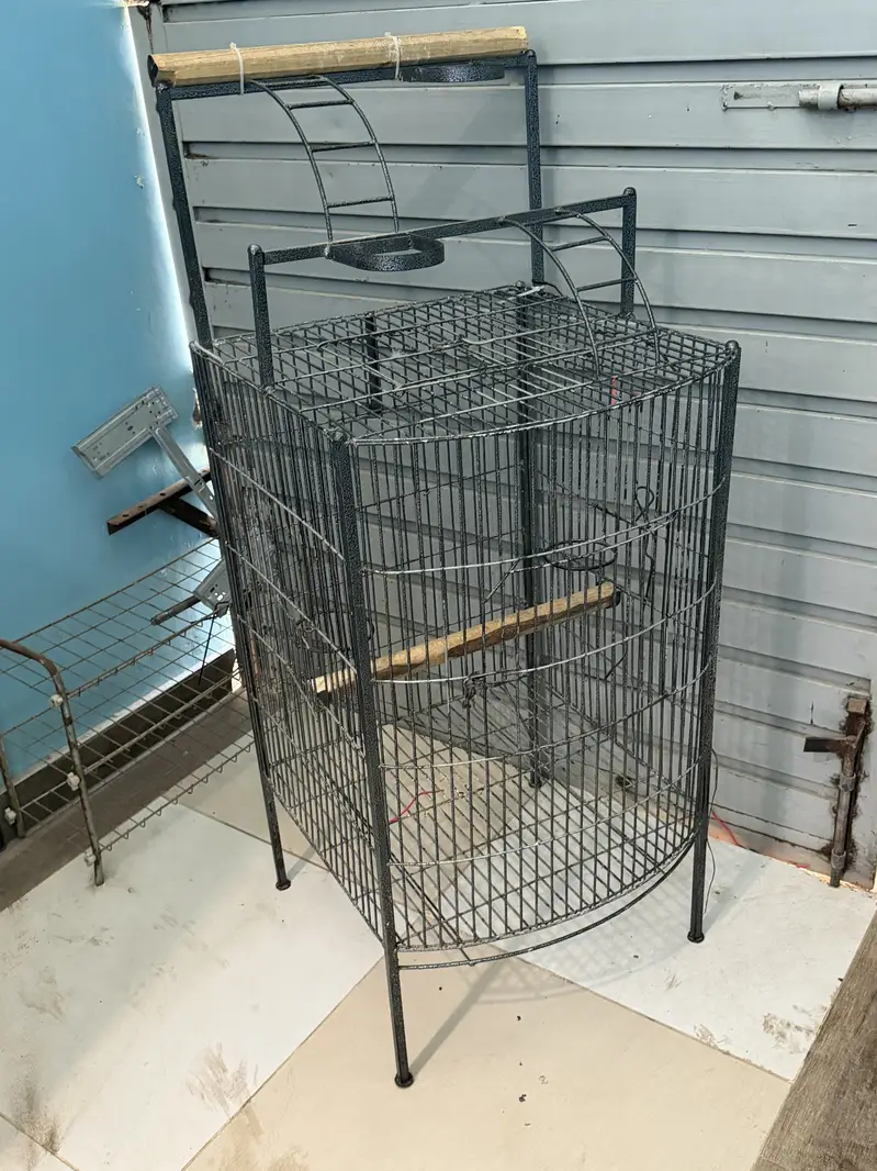 Cage macaw parrot — photo 4