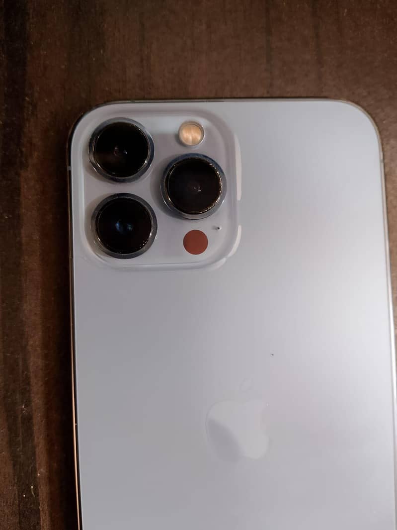 Apple iPhone 13 Pro Max 1