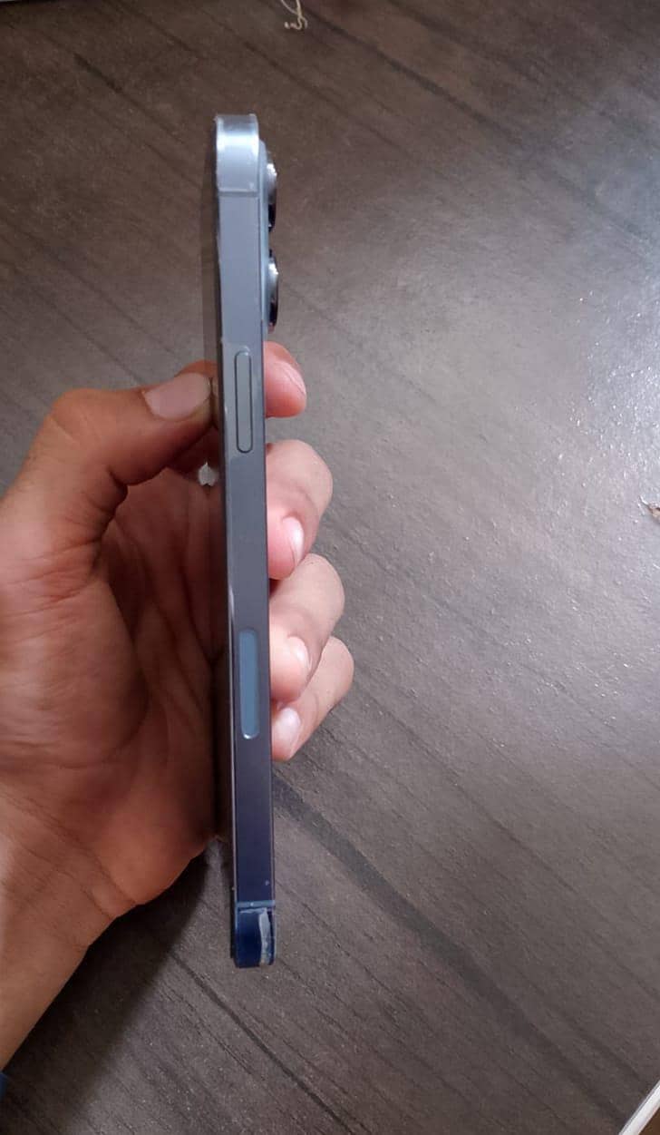 Apple iPhone 13 Pro Max 2