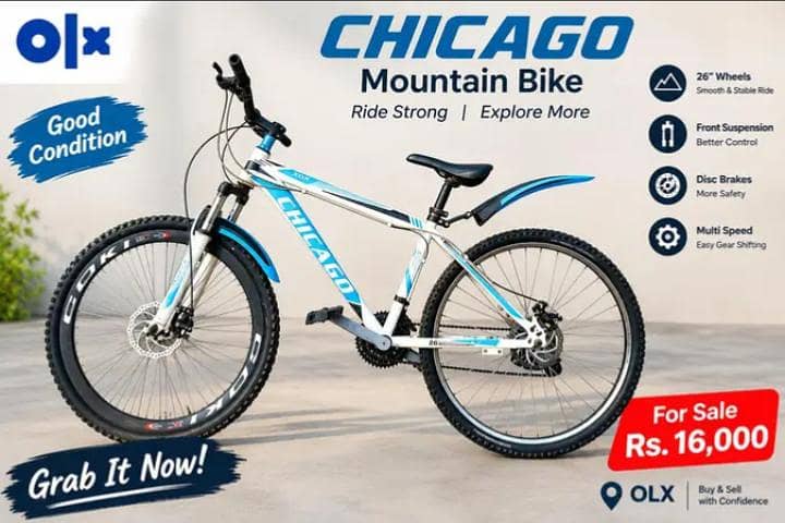 Chicago Bicycle 0