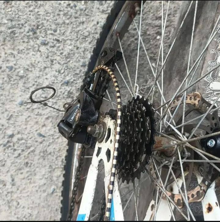 Chicago Bicycle 1