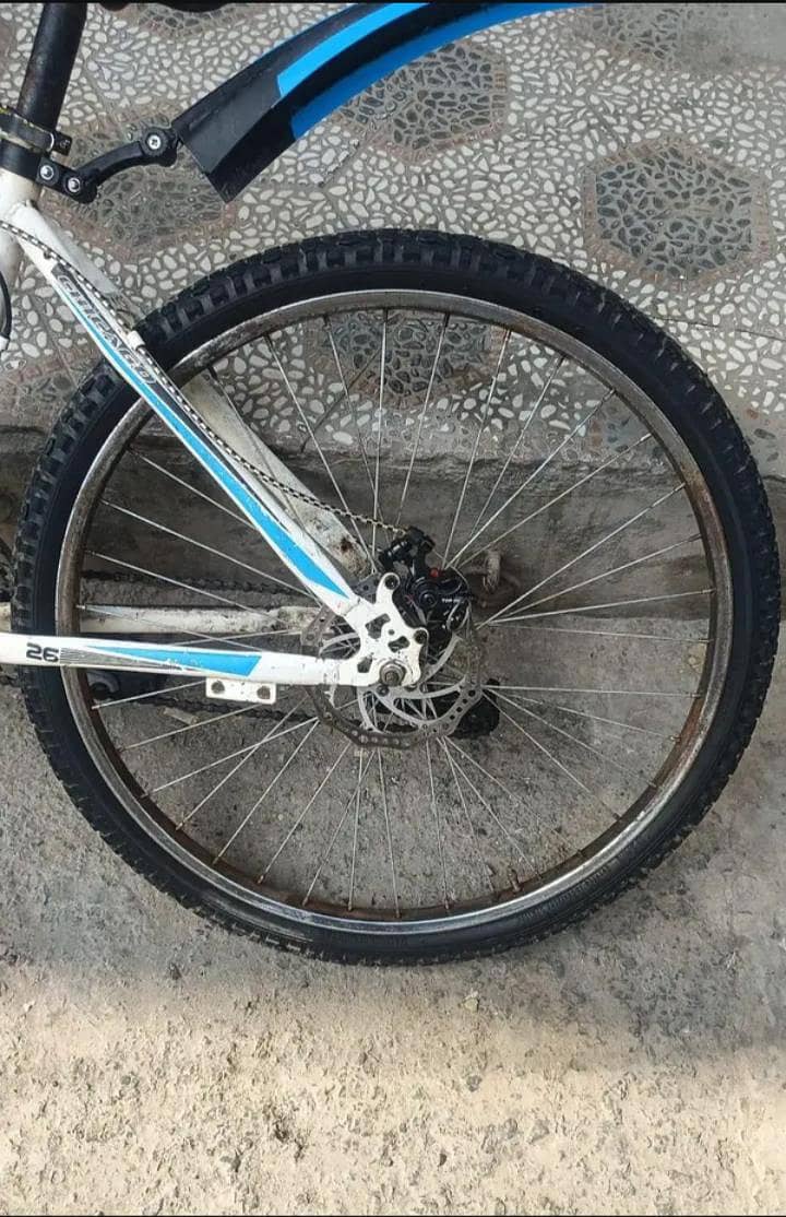Chicago Bicycle 3