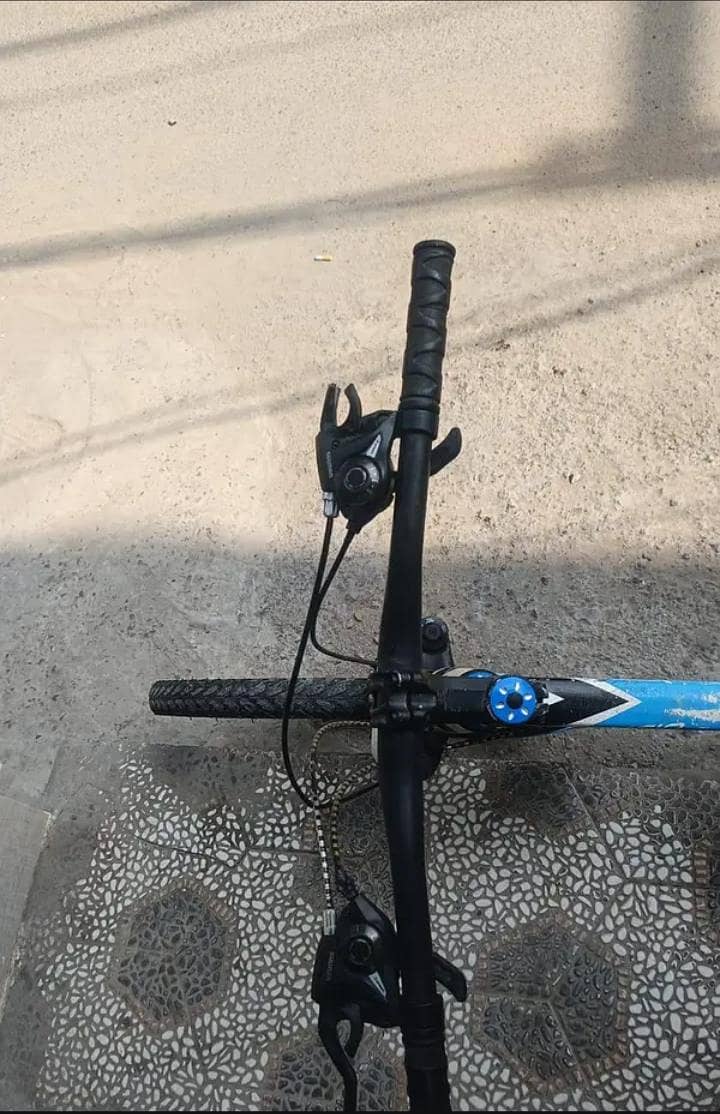 Chicago Bicycle 4