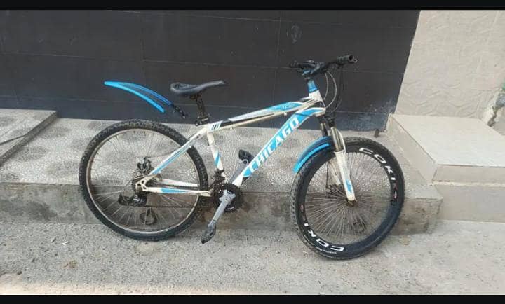 Chicago Bicycle 6