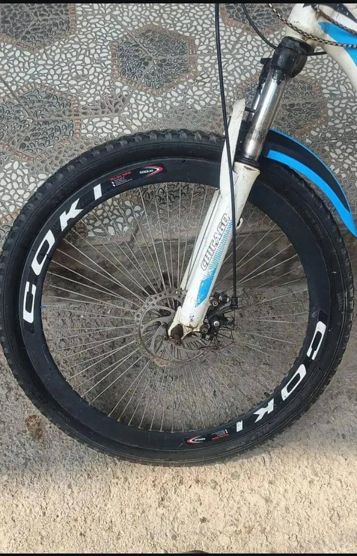 Chicago Bicycle 7