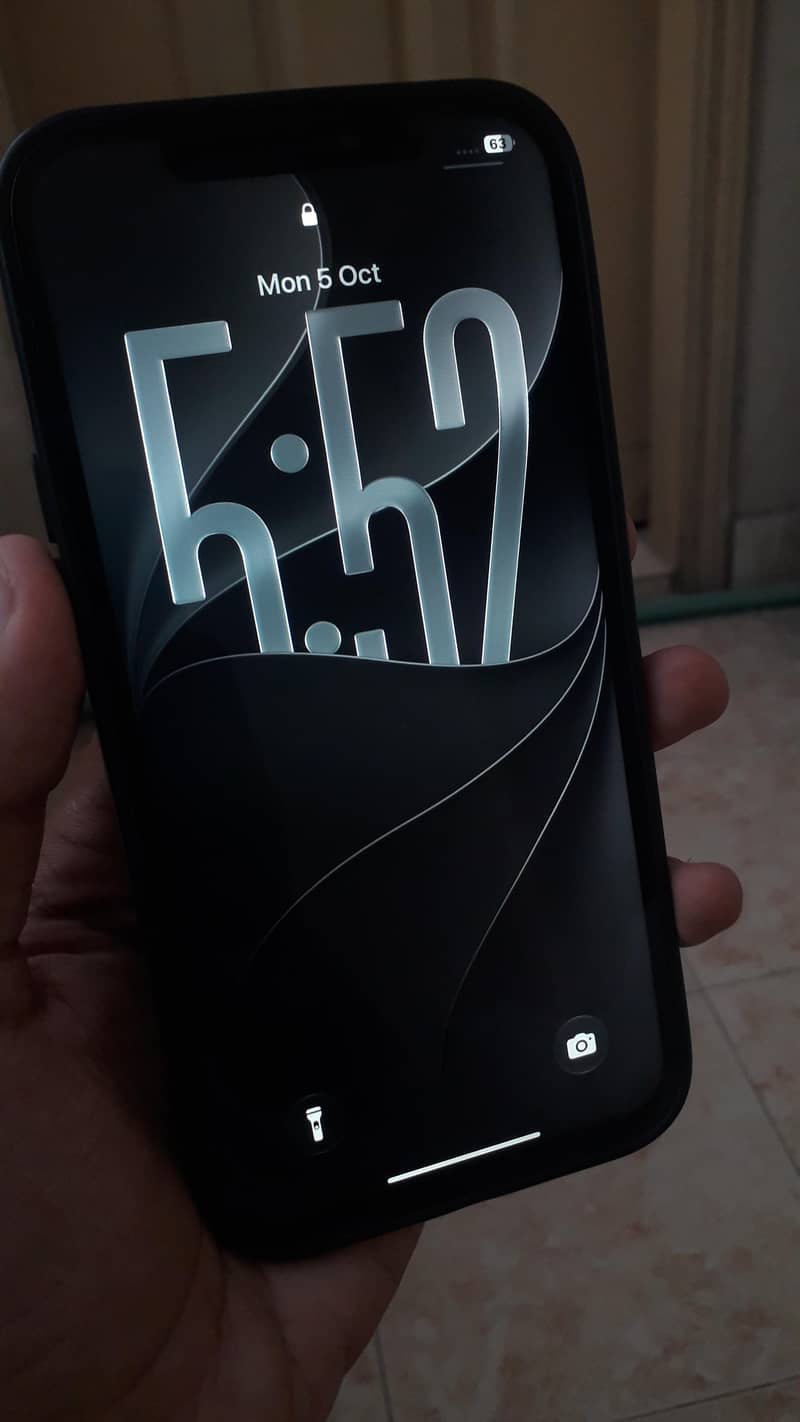 Apple iPhone 12 Pro Max 1
