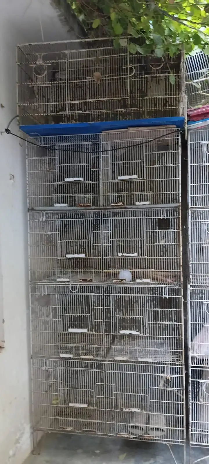 3 Steel Birds Cages (8 portion), with 4 breeding boxes, pots and trays — photo 2