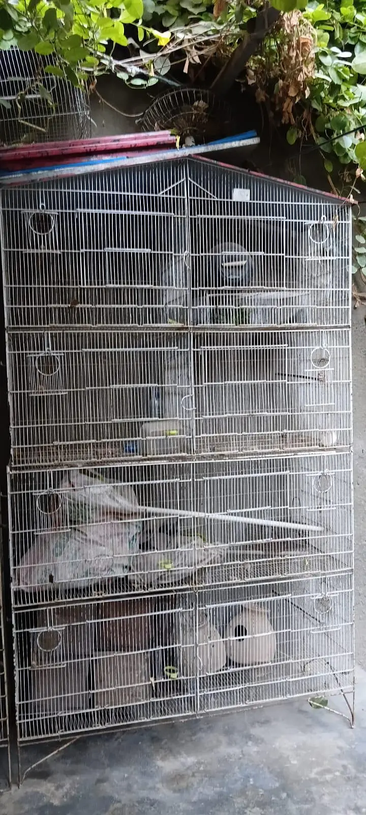 3 Steel Birds Cages (8 portion), with 4 breeding boxes, pots and trays — photo 7