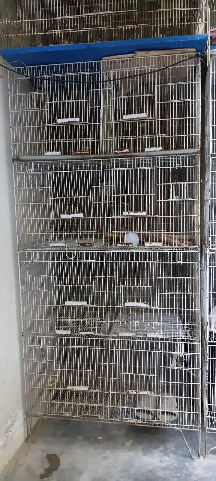 3 Steel Birds Cages (8 portion), with 4 breeding boxes, pots and trays — photo 8