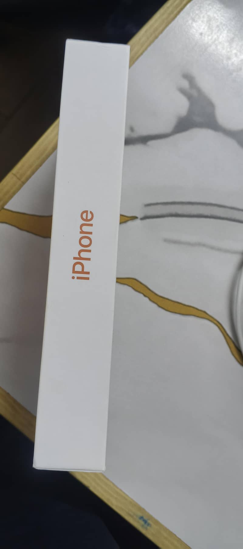 Apple iPhone 17 Pro Max 1
