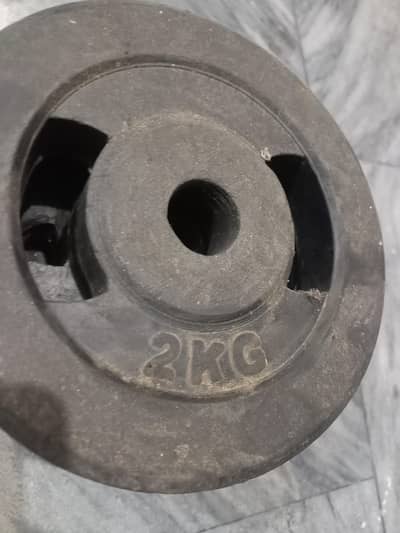weight plates and dumbbells