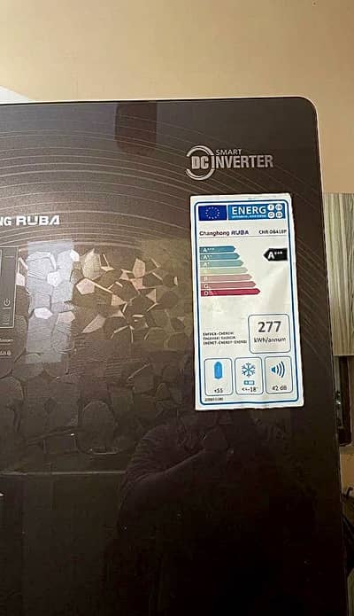 Smart Inverter Refrigerator