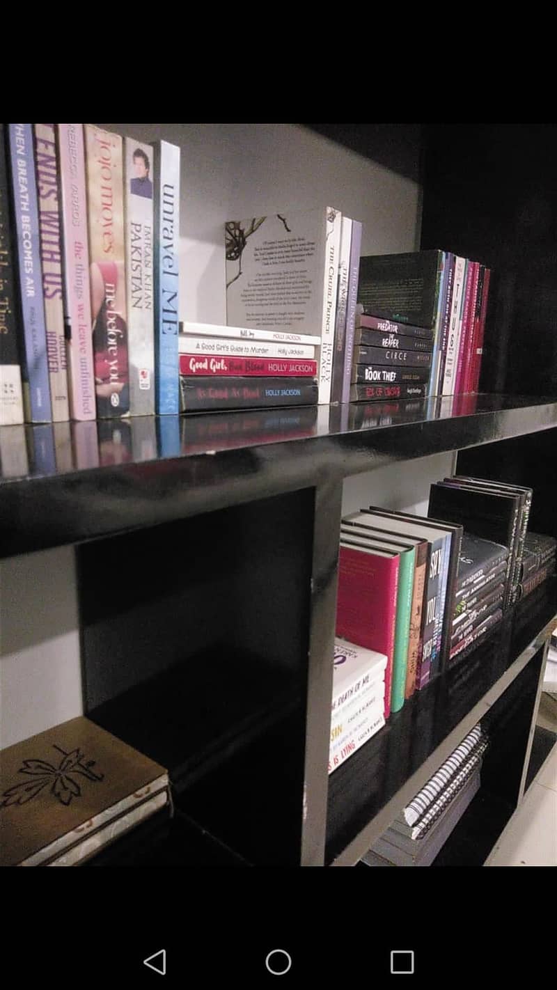 Large Book shelf Wall Mounted 3