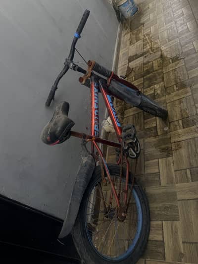 Bicycle for kids