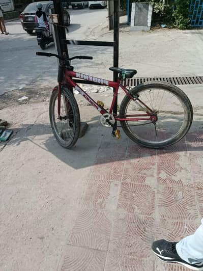 03335401216 imported big tyres bicycle cycle bi cycle road cycle