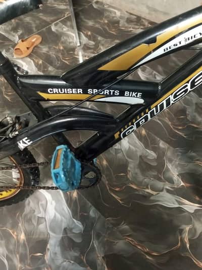 Bicycle all ok