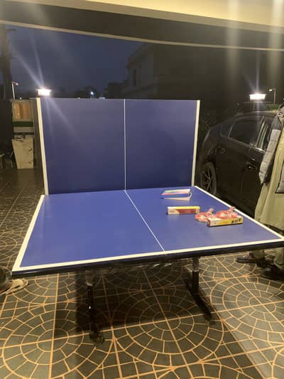 Table Tennis Table