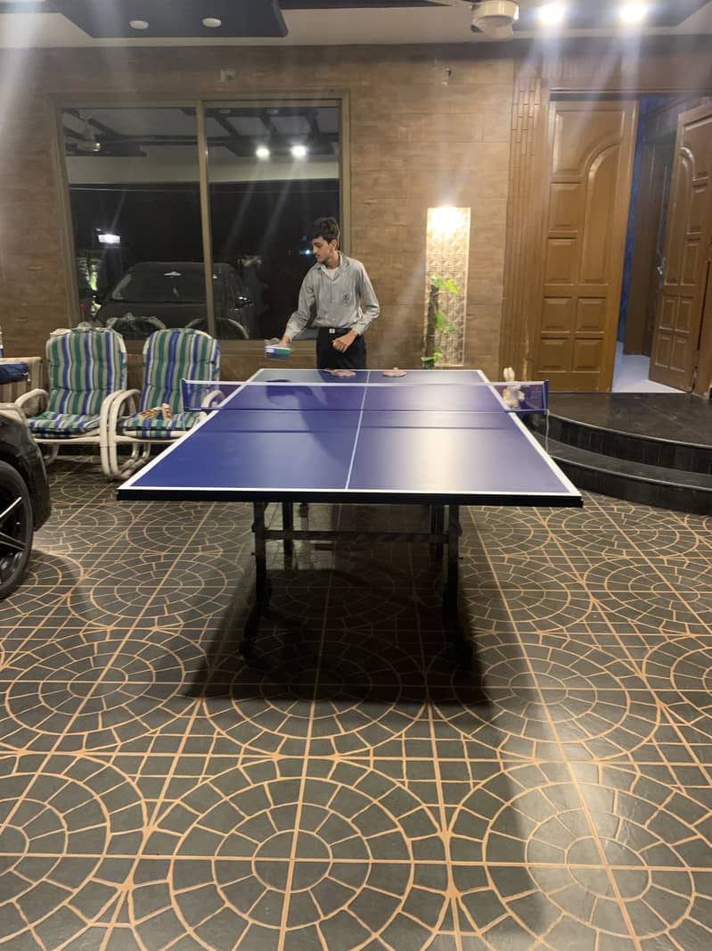 Table Tennis Table 1
