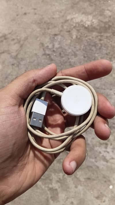 Apple original charger