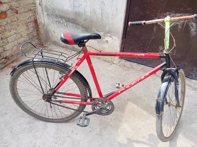 Phonix bicycle