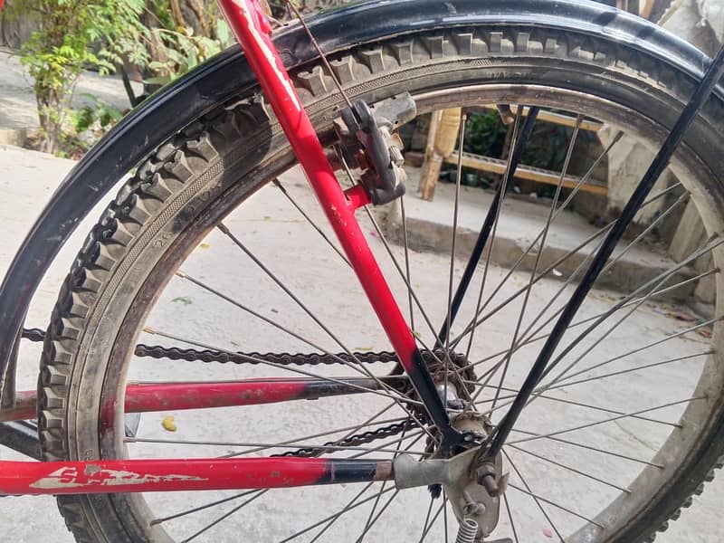 Phonix bicycle 1