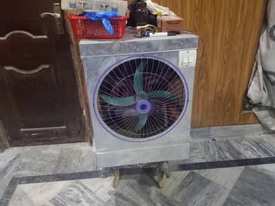 solar cooler for sale