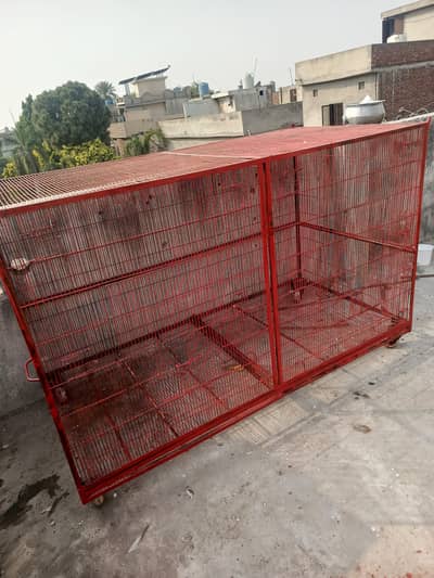 Iron Cage