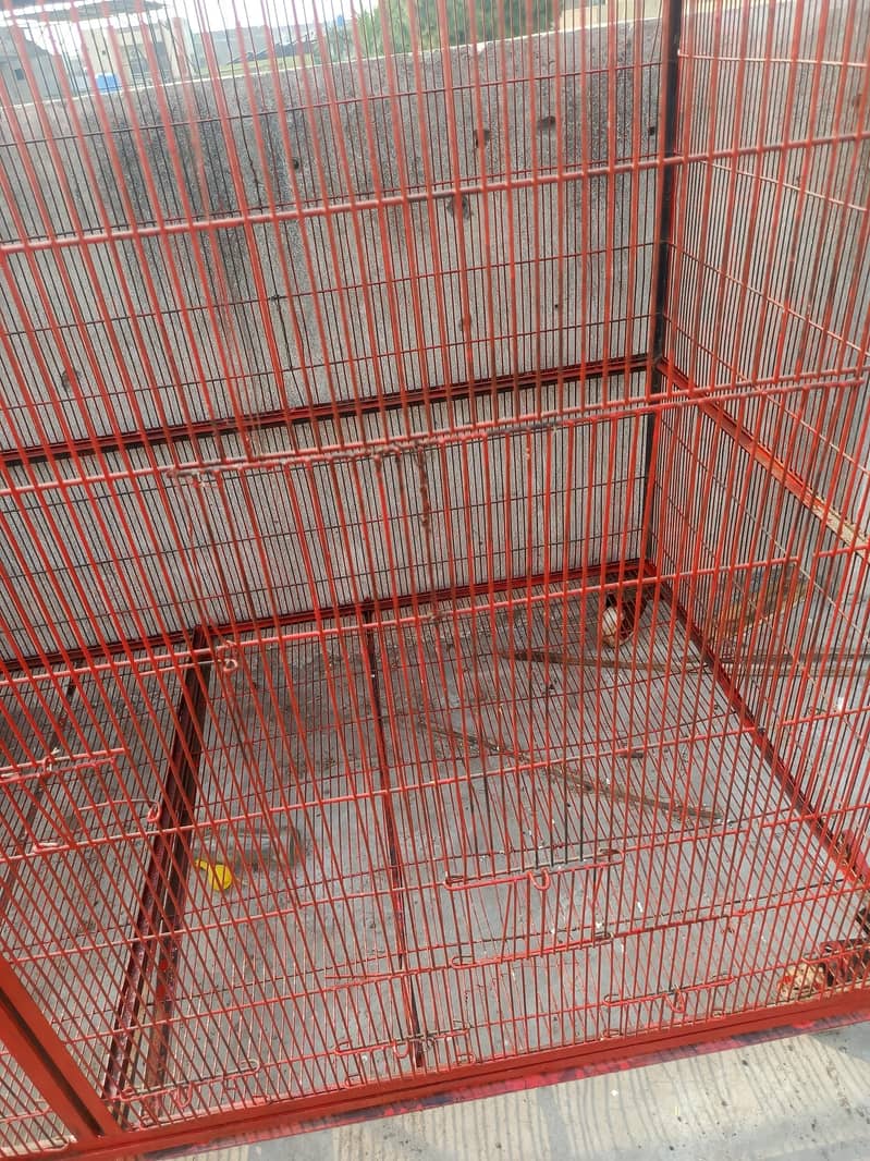 Iron Cage 1