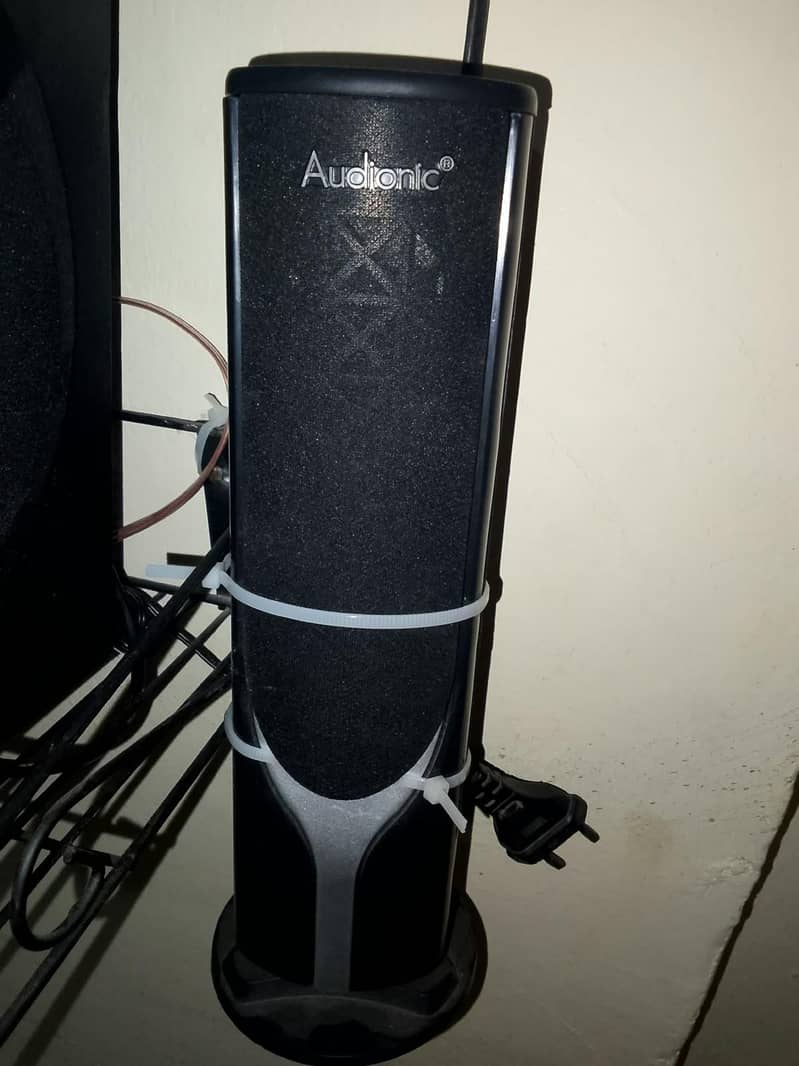Real Audionic speakers 1