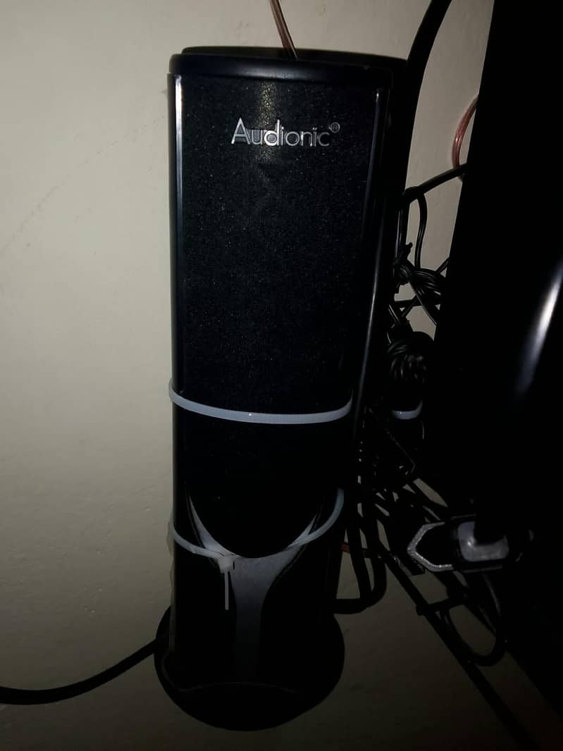 Real Audionic speakers 2