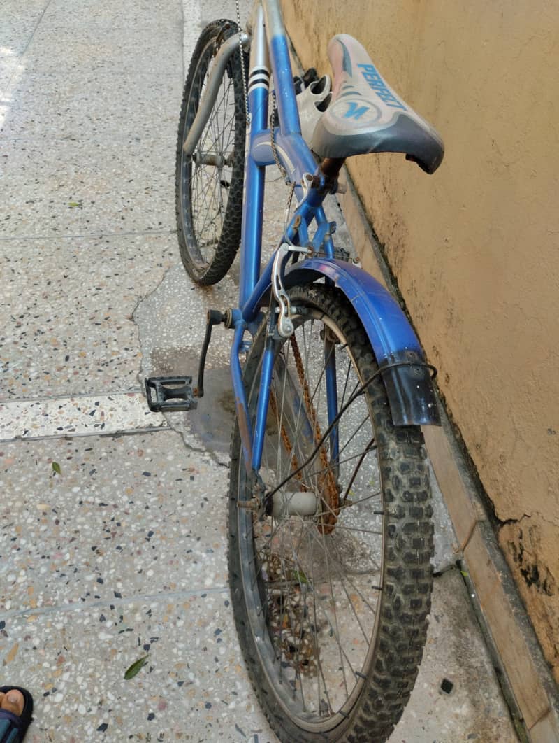 Oscar bicycle 1