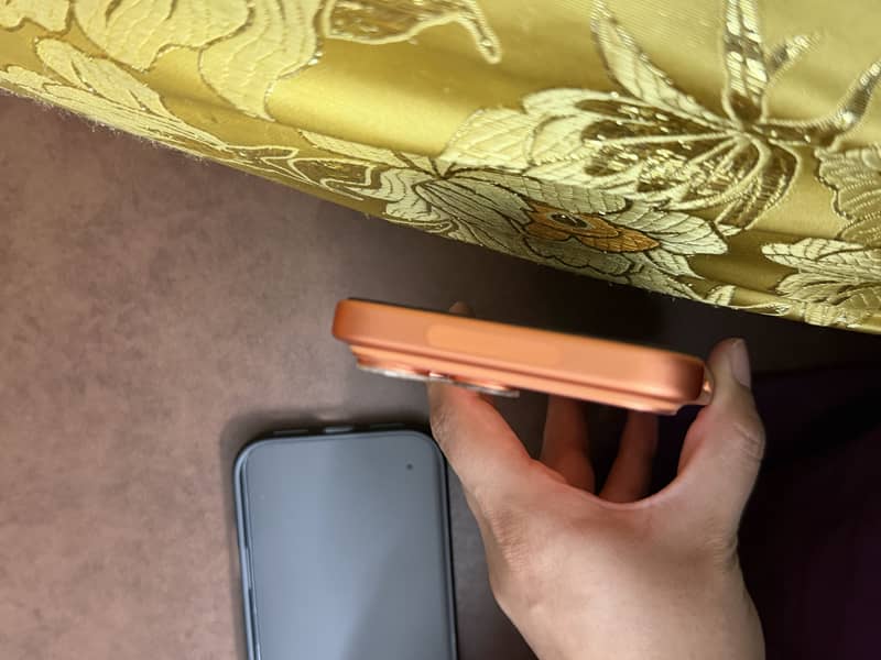 Apple iPhone 17 Pro Max 3