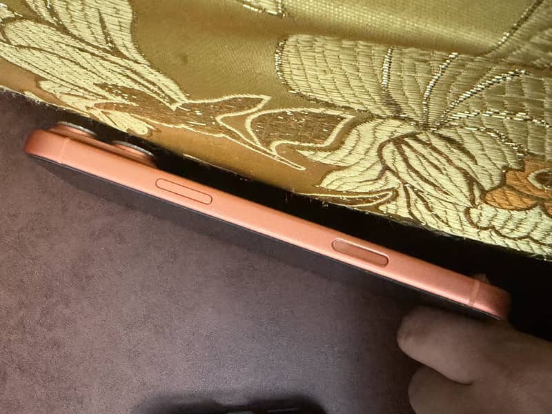 Apple iPhone 17 Pro Max 4