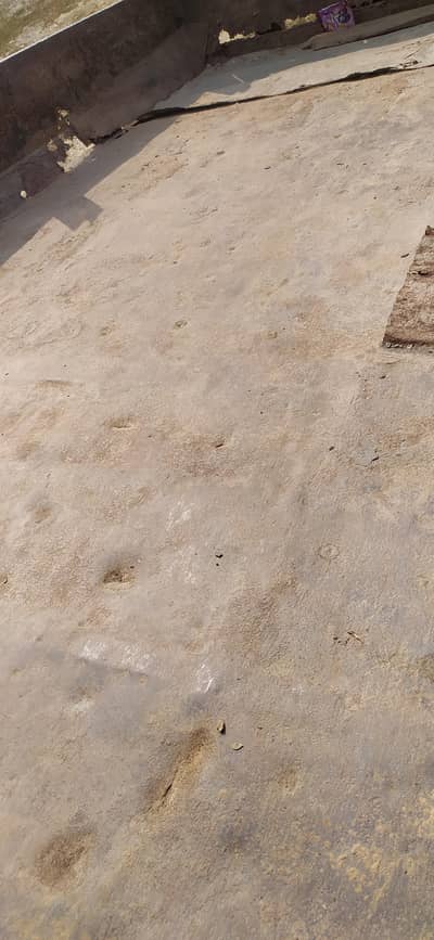 03206428395
