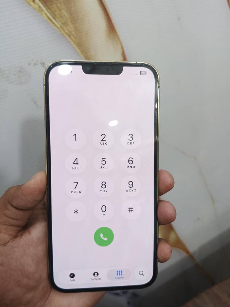 Apple iPhone 13 Pro Max 0