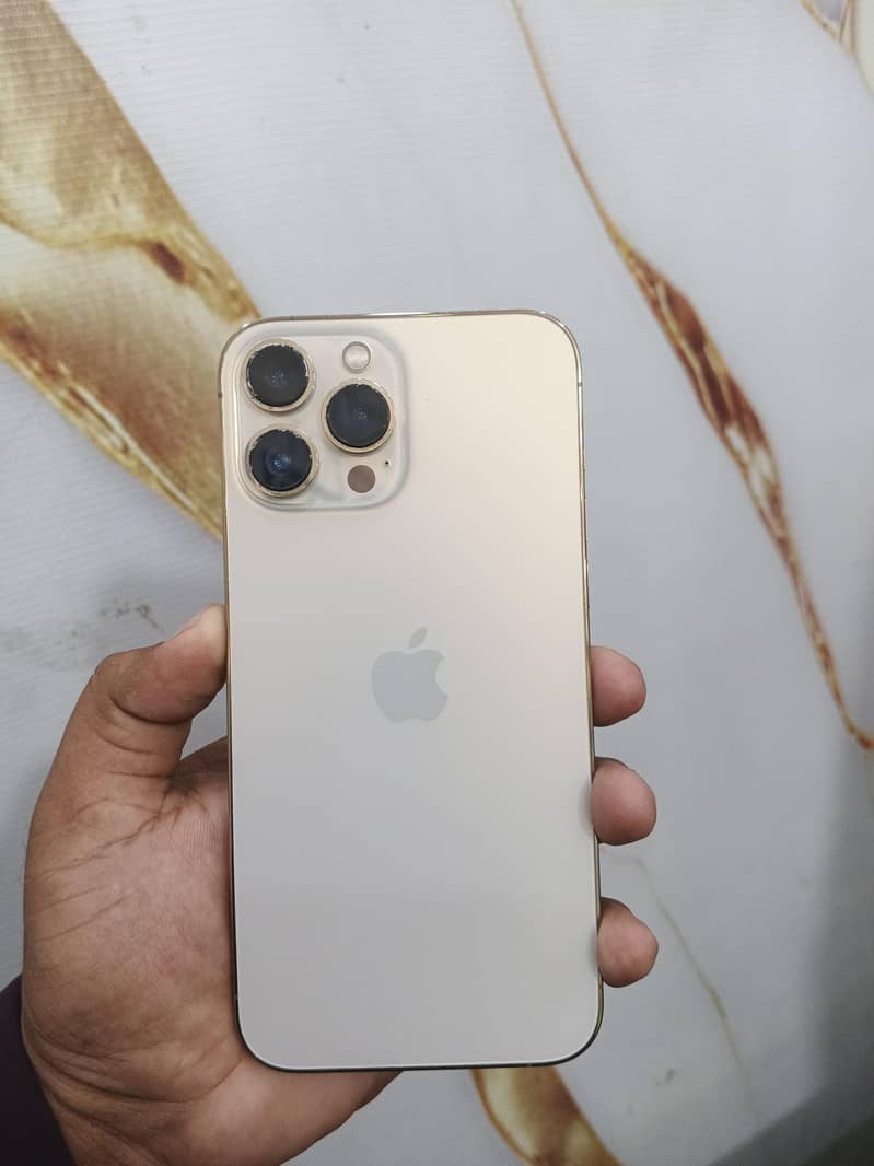 Apple iPhone 13 Pro Max 1