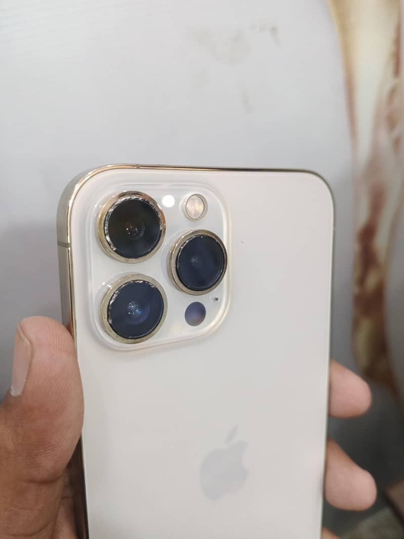 Apple iPhone 13 Pro Max 2