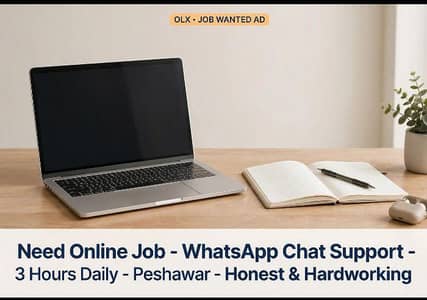I need online chat support _whatsapp reply jobs_3hours daily